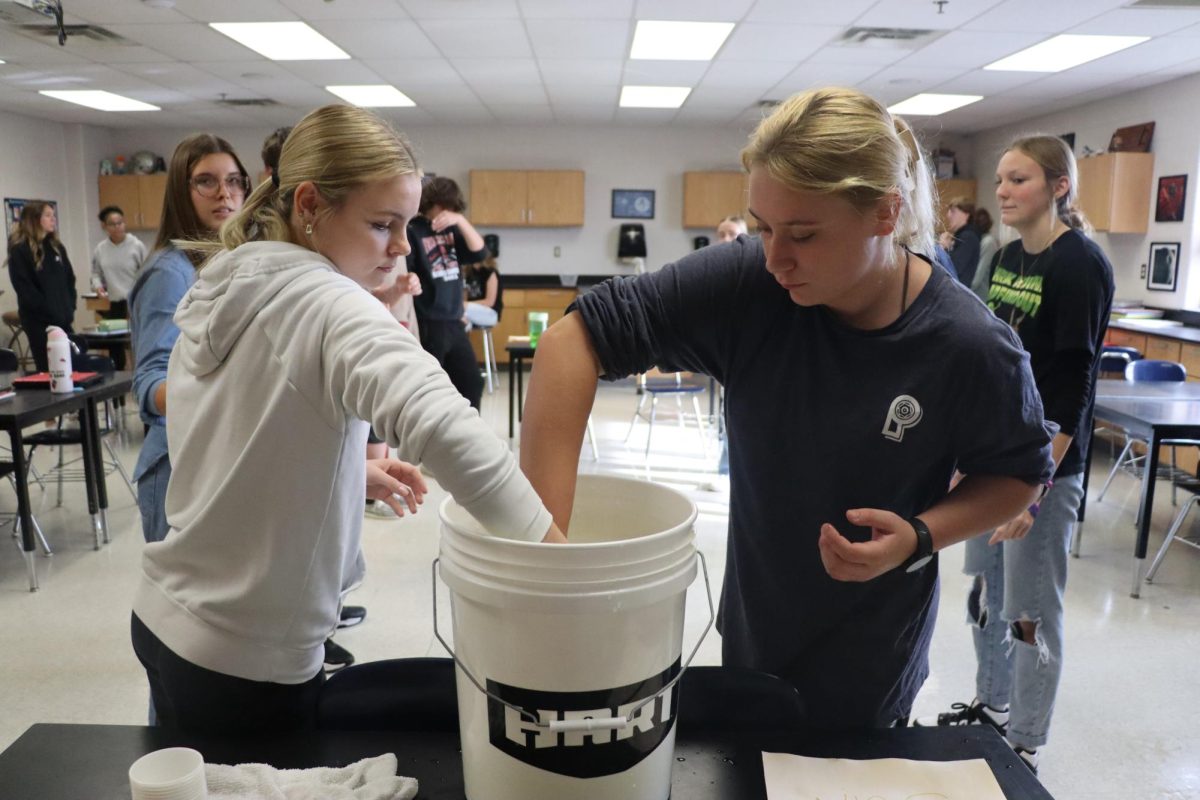 The Photosynthesis Race!