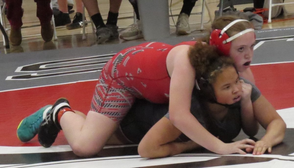 Lady Freddies Wrestling